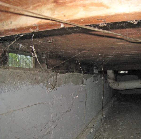 Crawlspace Water Removal in Euless, Texas