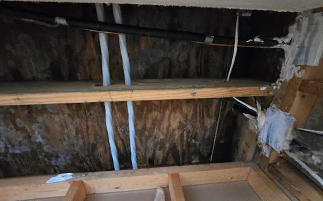Attic Water Damage in Euless, Texas