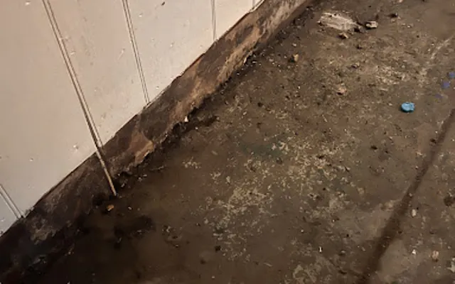 Drain Backup in Bedford, Texas